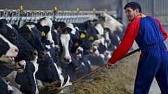 UNOS 6.000 AGRICULTORES Y GANADEROS FORMAN PARTE DE SOCIEDADES DE TRANSFORMACI�N AGRARIA.