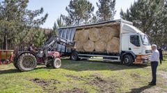 El primer cami�n con paja para las vacas lleg� ayer al monte de Ponteareas