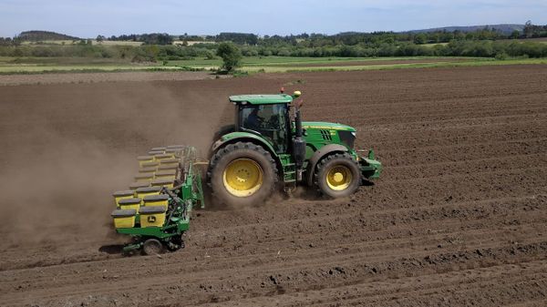J&oacute;venes agricultores y ganaderos disponen de un mes para solicitar estas ayudas