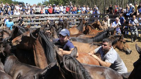 Las  bestas  no se lo pusieron fcil a los  aloitadores 