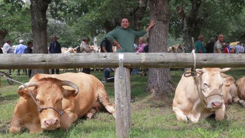 Las vacas, en las Feiras de Primavera de O Pramo