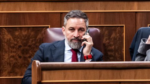 El presidente de Vox, Santiago Abascal, durante una sesi�n plenaria, en el Congreso de los Diputados.
