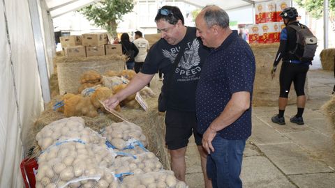 Festa da Pataca en Vilar de Barrio.