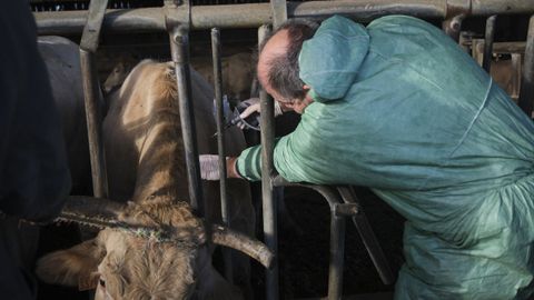 Francia tambi�n ha ampliado la vacunaci�n tras la aparici�n de nuevos brotes