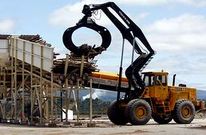 Biomasa Forestal cont� con ayudas de Industria para su implantaci�n en As Pontes.