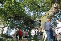 Un grupo de vecinos, el pasado octubre, cuando reclamaron medidas para proteger el carballo. 