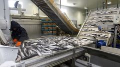 Pescados Rub�n, de Foz, en A Mari�a, en una imagen de archivo