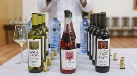 En la cata se sirvieron un godello, un rosado y el tinto Pero Bernal