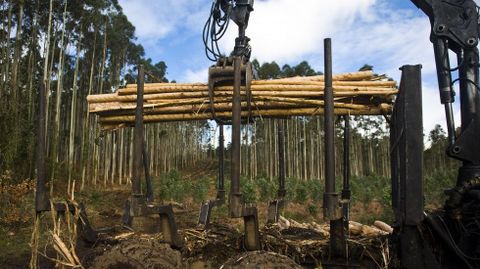 Las tres mil empresas de la confederacin facturan 1.700 millones de euros. 