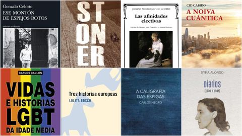 Detalle das portadas de &laquo;Ese mont&oacute;n de espejos rotos&raquo;, &laquo;Stoner&raquo;, &laquo;Las afinidades electivas&raquo;, &laquo;A noiva cu&aacute;ntica&raquo;, &laquo;Vidas e historias LGTB da Idade Media&raquo;, &laquo;Tres historias europeas&raquo;, &laquo;A caligraf&iacute;a das espigas&raquo; e os &laquo;Diarios&raquo; de Syra Alonso.