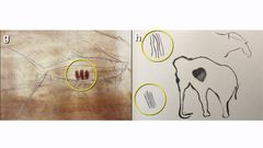Las pinturas del Pindal citadas en el estudio de Cambridge Archaeological Journal