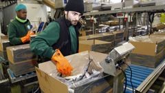 Foto de archivo del empaquetamiento de la xarda en la factor�a de Pescados Rub�n en Fazouro