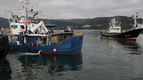 Tras arribar a Celeiro el jueves, la veintena de barcos vascos y c�ntabros que faenan con cebo vivo regresaron ayer a los caladeros.