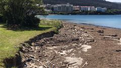 Cientos de troncos, ramas y restos de biomasa forestal cubren estos d�as por completo playas de O Vicedo, como la de Porto (Fomento), en imagen