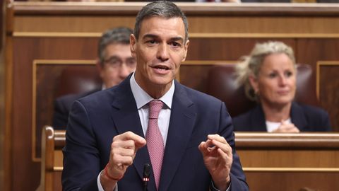 El presidente del Gobierno, Pedro Snchez, interviene durante una sesin de control al Gobierno, en el Congreso de los Diputados