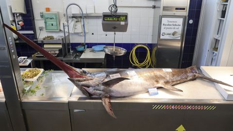 Un pez espada fresco en una pescadera de Ferrol, a finales de mayo