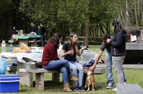 Muchas familias acuden al �rea de O Seixedo para realizar una comida campestre. 