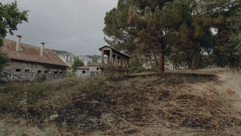 Terreno ardido despu�s de que las llamas saliesen de la nave