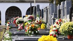 El cementerio municipal de San Froil�n, en Lugo, estuvo repleto de flores este d�a de Todos los Santos.
