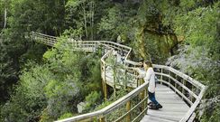 Pasarela del R�o Mao