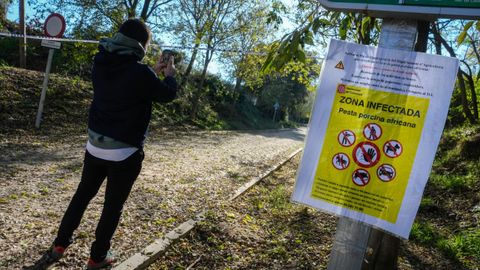 Imagen de la zona restringida en elParque Natural de Collserola