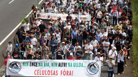 Manifestación en Pontevedra en contra de Altri y de Ence