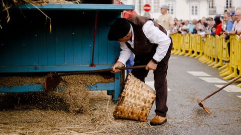 Meira reivindic� los trabajos acestrales del campo en una nueva edici�n de la Festa da Malla.