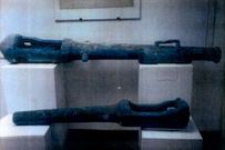 Las dos culebrinas de cabo Silleiro son ejemplares �nicos en Galicia.