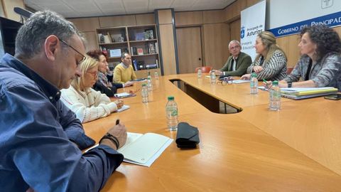 De izquierda a derecha, la representacin de la ejecutiva de la Federacin Asturiana de Concejos formada por los alcaldes de Gozn, Jorge Surez; de Norea, Amparo Antua; de El Franco, Cecilia Prez; de Illas, Alberto Tirador, y de Cangas de Ons, Jos Manuel Gonzlez. Y enfrente, la consejera de Educacin, Lydia Espina, flanqueada por los directores generales de Infraestructuras y Tecnologas Educativas, Julio Vallaure, y de Centros, Red 0-3 y Enseanzas Profesionales, Eva Ledo.