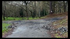 Restos de coches quemados y cable de cobre en la carballeira de Corcoesto