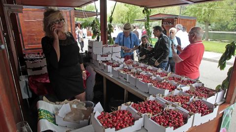 Cerezas en uno de los tres puestos de venta de este producto que participaron en la fiesta de este ao