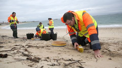 TRABAJADORES CONTRATADOS POR LA ARMADORA DEL TOCONAO LIMPIAN LA PLAYA DE O CASTRO DE PELETS