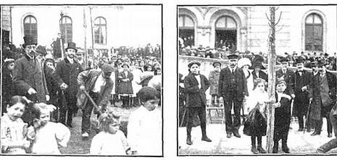 Reproducci�n de dos im�genes de la primera plantaci�n en la plaza de Pontevedra.
