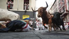 Los toros de la ganader�a gaditana de La Palmosilla entran en la curva de Mercaderes
