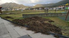 Los jabal�es levantaron el c�sped en varios puntos del paseo mar�timo de Cari�o, como en este parque infantil