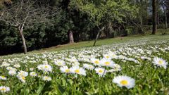 Un gigante atmosf�rico traer� aire africano a Galicia