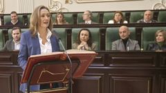 Luisa Snchez Mndez tom posesin del acta de diputada provincial en un pleno extraordinario celebrado este mircoles