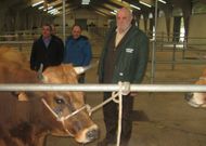 Claudio Garrido ayer en la feria de Sarria desarrollando su trabajo como veterinario. 