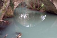 Aspecto del agua del r�o Castro en la parroquia de Nara�o, el jueves. 
