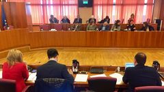 Pleno ordinario del febrero del ayuntamiento de Vigo