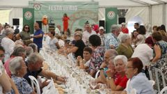 Anterior Festa do R�o, de Terra Galega en Nar�n