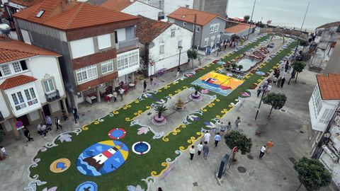 Alfombras Florales de Ares