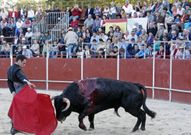 El pasado a�o la plaza de toros de Sarria se llen�. 