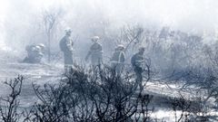 Un incendio en Catoira