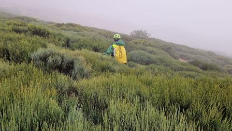 Labores de bsqueda de la avioneta perdida la semana pasada en la zona de Pena Trevinca