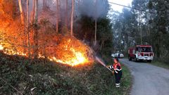 Los Concellos, en colaboraci�n con Medio Rural, contratan personal para las brigadas que colaboran con otros profesionales en la extinci�n de incendios