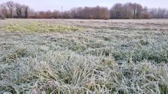 Los campos han amanecido totalmente helados en toda la provincia