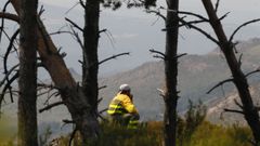 Un brigadista observa la evolucin de unl incendio 