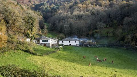Una vista de conjunto del pequeño núcleo de Goimil