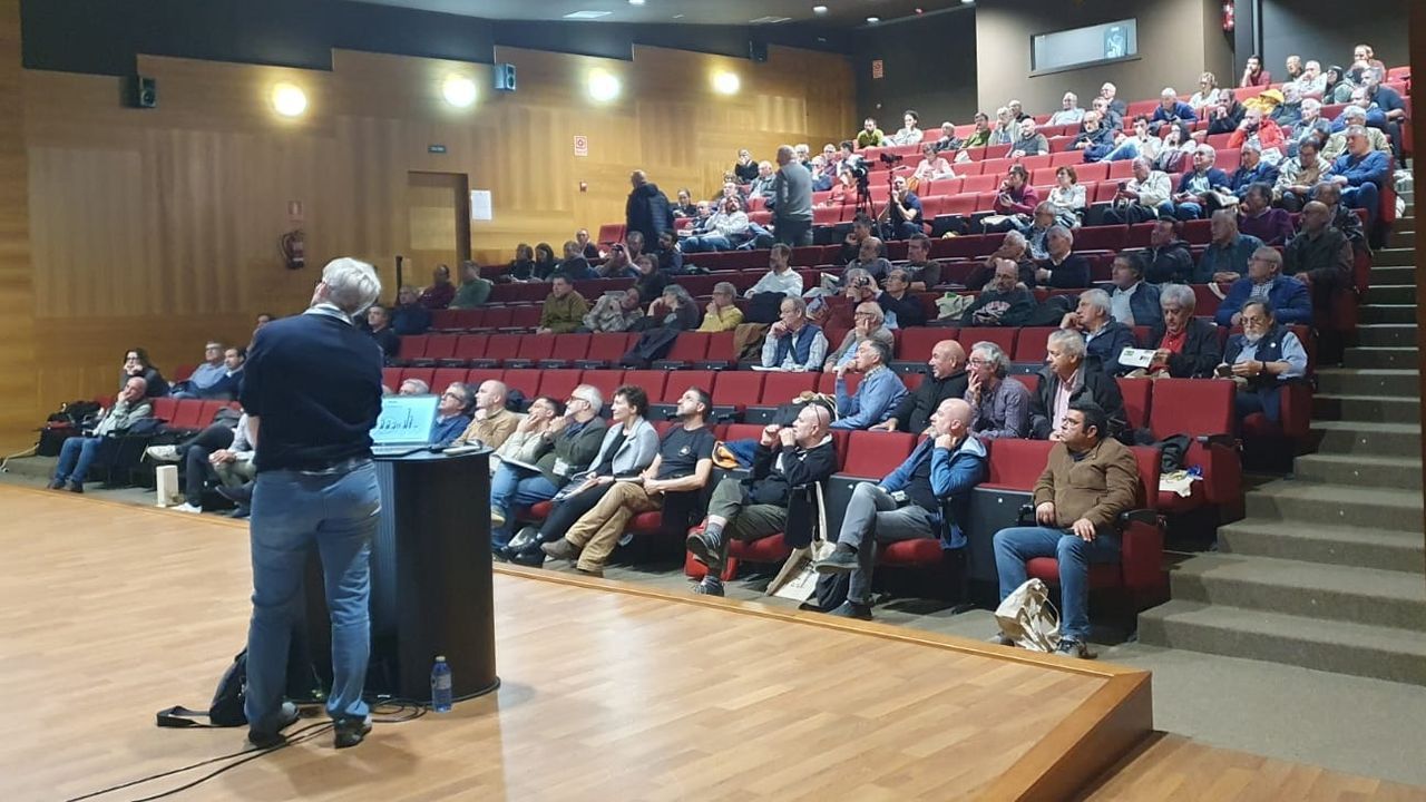 La lucha contra las velutinas y las colmenas quemadas, a debate en Chantada